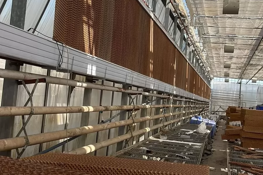 The Use of Evaporative Cooling Pads in Poultry Farms and Greenhouses